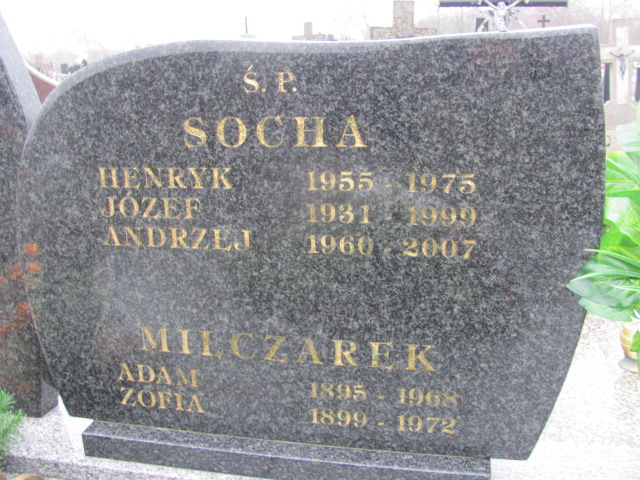 Henryk Socha 1955 Boguszyce - Grobonet - Wyszukiwarka osób pochowanych