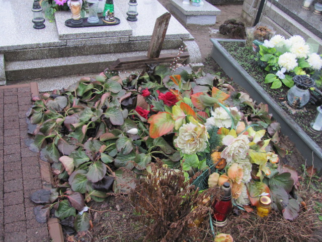  NN Boguszyce - Grobonet - Wyszukiwarka osób pochowanych