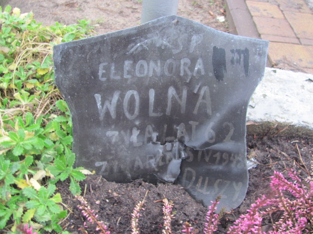 Eleonora Wolna Boguszyce - Grobonet - Wyszukiwarka osób pochowanych