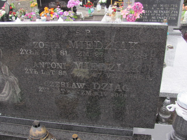 Antoni Miedziak 1903 Boguszyce - Grobonet - Wyszukiwarka osób pochowanych